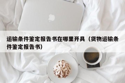 运输条件鉴定报告书在哪里开具（货物运输条件鉴定报告书）