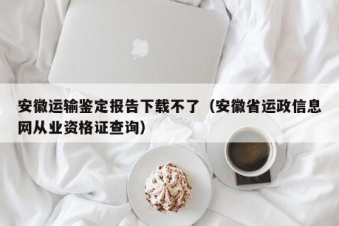 安徽运输鉴定报告下载不了（安徽省运政信息网从业资格证查询）