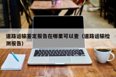 道路运输鉴定报告在哪里可以查（道路运输检测报告）