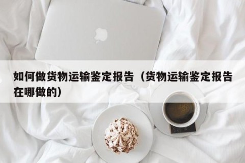 如何做货物运输鉴定报告（货物运输鉴定报告在哪做的）