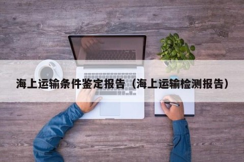 海上运输条件鉴定报告（海上运输检测报告）
