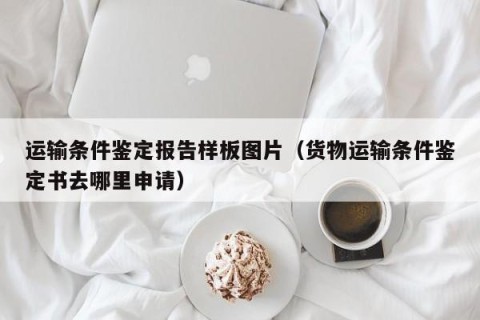 运输条件鉴定报告样板图片（货物运输条件鉴定书去哪里申请）