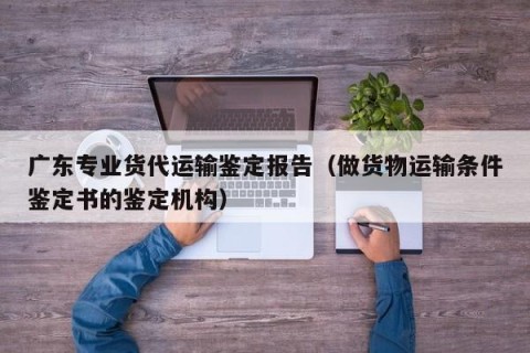 广东专业货代运输鉴定报告（做货物运输条件鉴定书的鉴定机构）