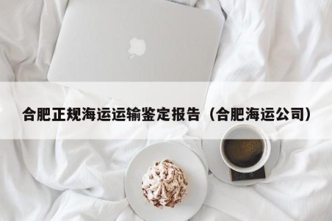 合肥正规海运运输鉴定报告（合肥海运公司）