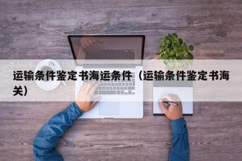 运输条件鉴定书海运条件（运输条件鉴定书海关）