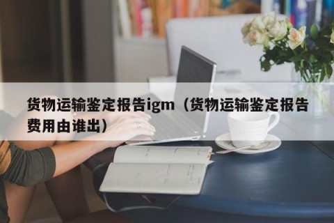 货物运输鉴定报告igm（货物运输鉴定报告费用由谁出）