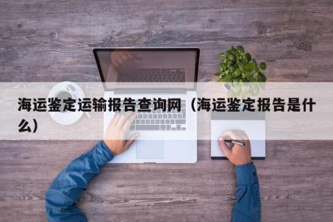 海运鉴定运输报告查询网（海运鉴定报告是什么）