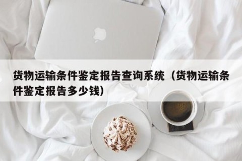 货物运输条件鉴定报告查询系统（货物运输条件鉴定报告多少钱）