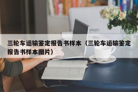 三轮车运输鉴定报告书样本（三轮车运输鉴定报告书样本图片）