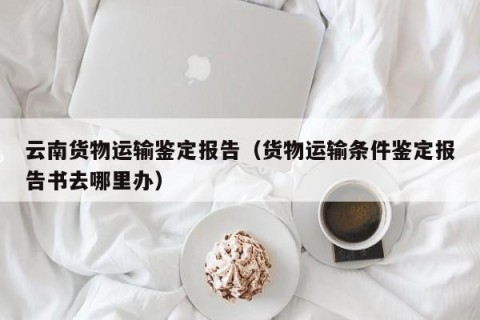 云南货物运输鉴定报告（货物运输条件鉴定报告书去哪里办）