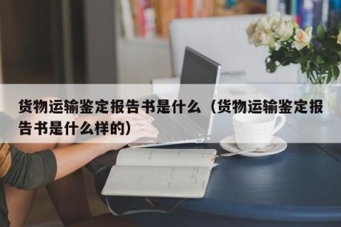货物运输鉴定报告书是什么（货物运输鉴定报告书是什么样的）