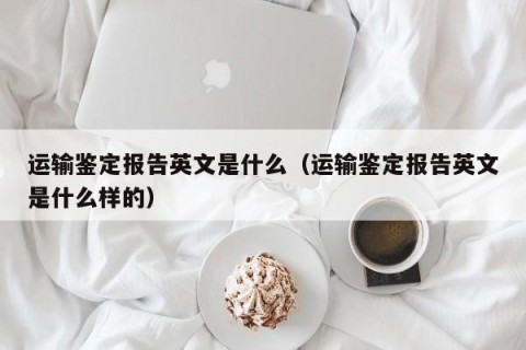 运输鉴定报告英文是什么（运输鉴定报告英文是什么样的）