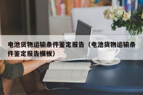 电池货物运输条件鉴定报告（电池货物运输条件鉴定报告模板）