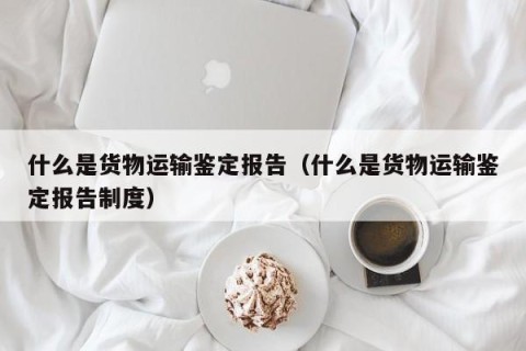 什么是货物运输鉴定报告（什么是货物运输鉴定报告制度）