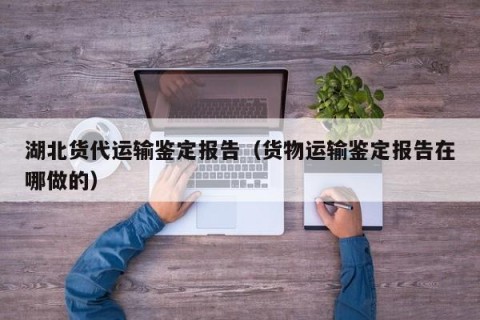 湖北货代运输鉴定报告（货物运输鉴定报告在哪做的）