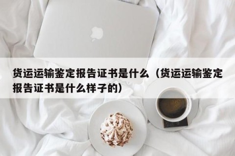 货运运输鉴定报告证书是什么（货运运输鉴定报告证书是什么样子的）