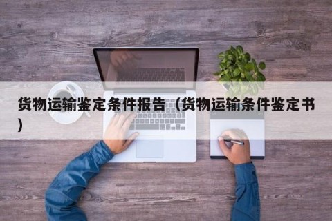 货物运输鉴定条件报告（货物运输条件鉴定书）