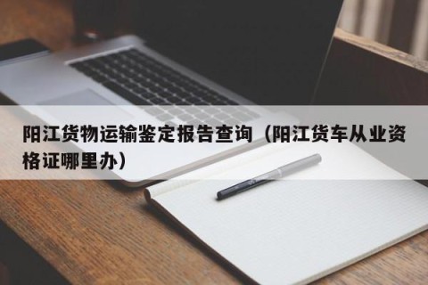 阳江货物运输鉴定报告查询（阳江货车从业资格证哪里办）