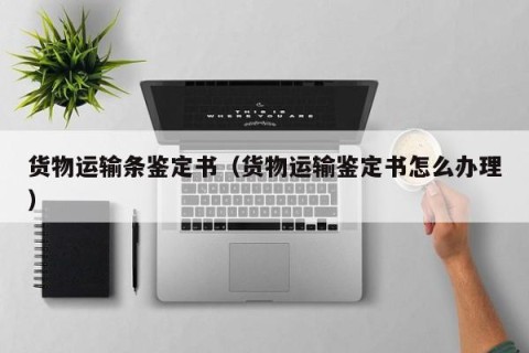 货物运输条鉴定书（货物运输鉴定书怎么办理）