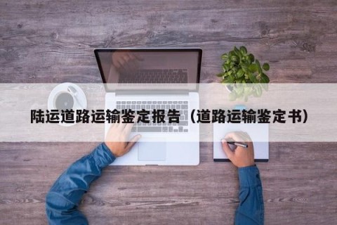 陆运道路运输鉴定报告（道路运输鉴定书）