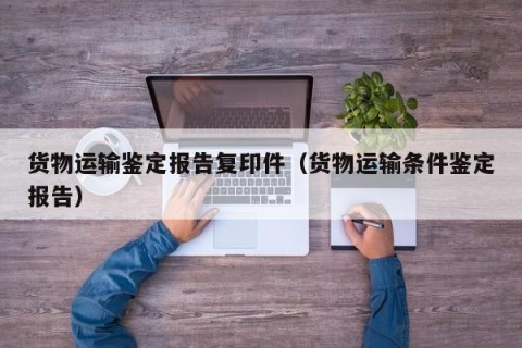 货物运输鉴定报告复印件（货物运输条件鉴定报告）