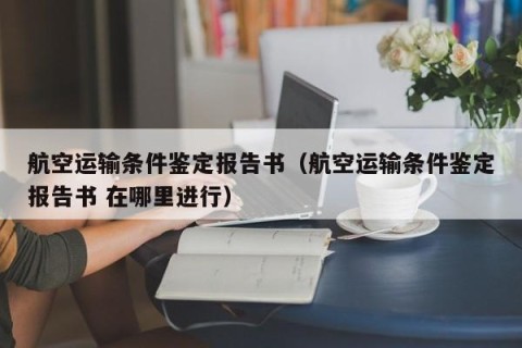 航空运输条件鉴定报告书（航空运输条件鉴定报告书 在哪里进行）