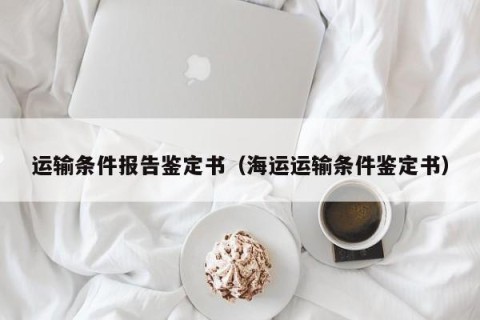 运输条件报告鉴定书（海运运输条件鉴定书）