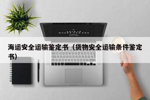 海运安全运输鉴定书（货物安全运输条件鉴定书）