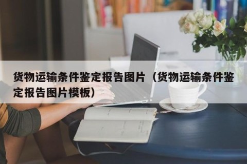 货物运输条件鉴定报告图片（货物运输条件鉴定报告图片模板）