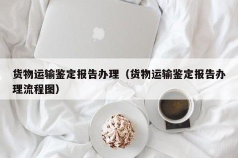 货物运输鉴定报告办理（货物运输鉴定报告办理流程图）