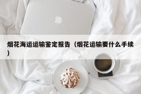 烟花海运运输鉴定报告（烟花运输要什么手续）