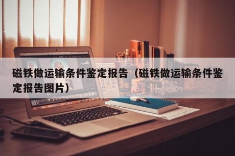 磁铁做运输条件鉴定报告（磁铁做运输条件鉴定报告图片）